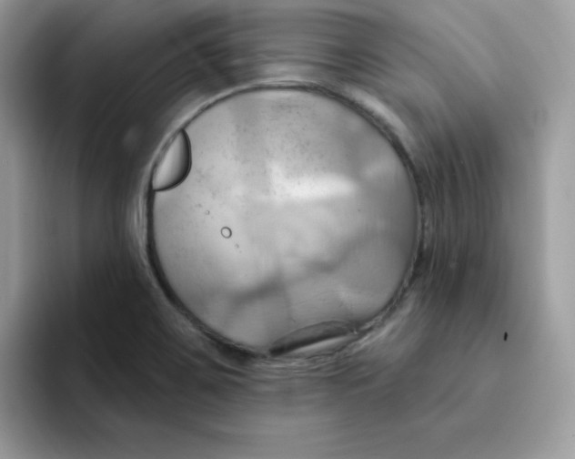 X0000091581467200709171107