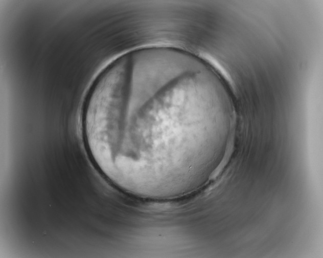 X0000091581468200709171107