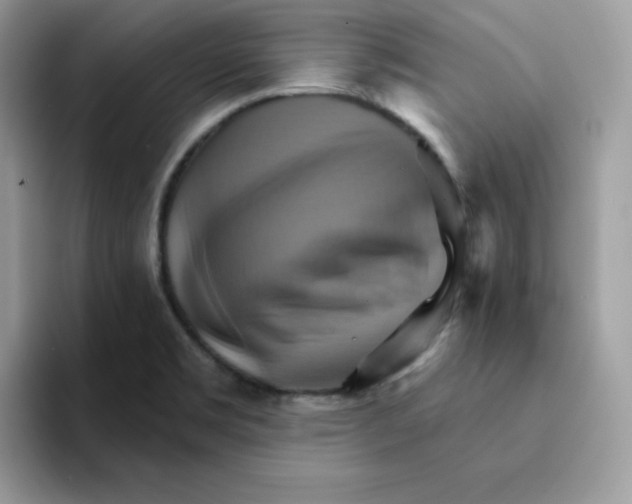 X0000091581469200709171107