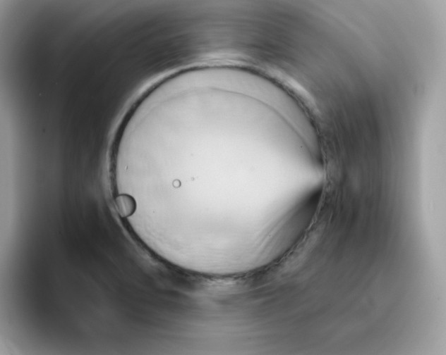 X0000091581470200709171107