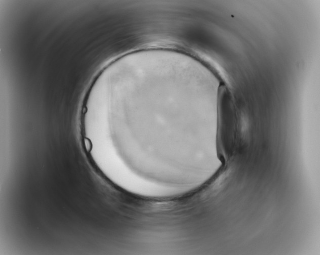 X0000091581471200709171107