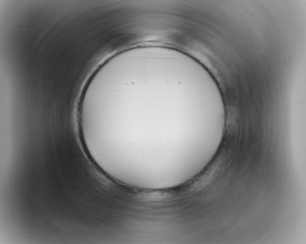 X0000091581474200709171107