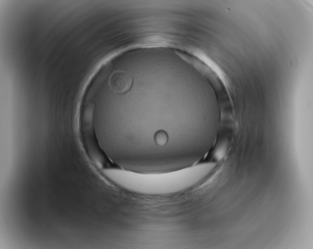 X0000091581477200709171107