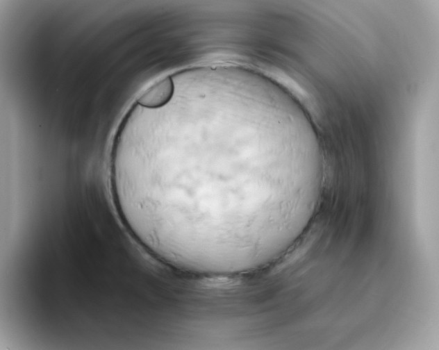 X0000091581478200709171107