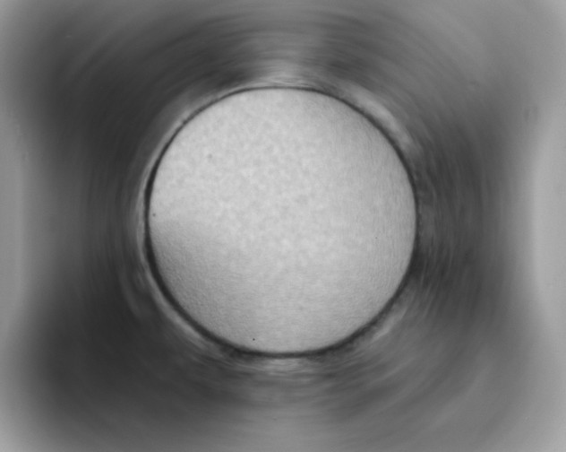 X0000091581479200709171107