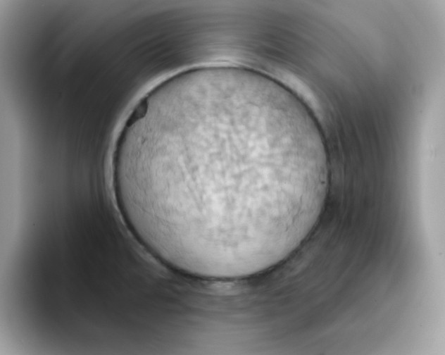 X0000091581480200709171107