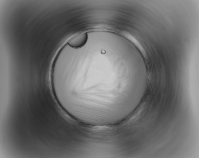 X0000091581482200709171107