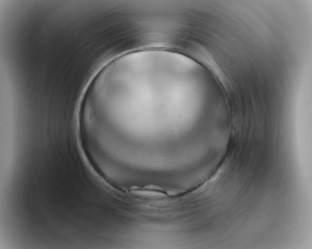 X0000091581483200709171107