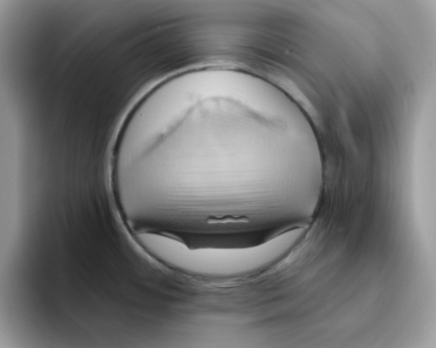 X0000091581484200709171107