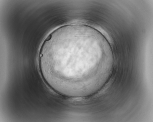 X0000091581486200709171107