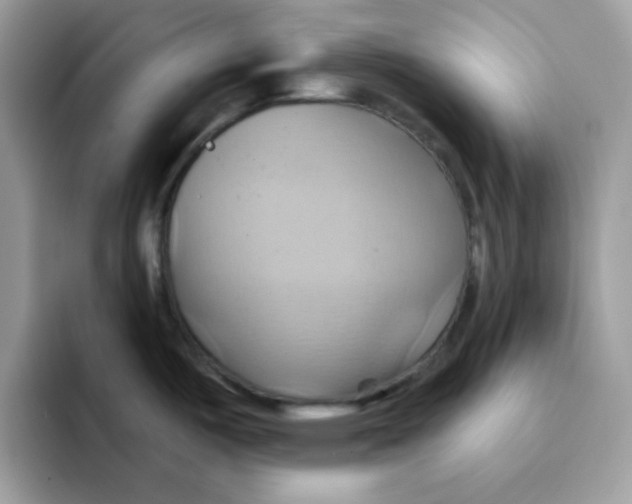 X0000091581487200709171107