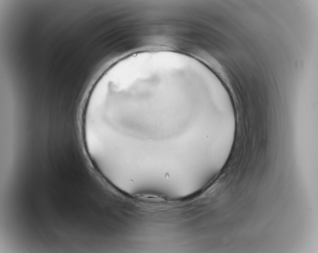 X0000091581488200709171107