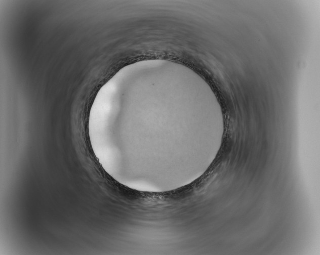 X0000091581489200709171106