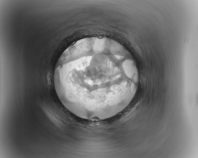 X0000091581490200709171106