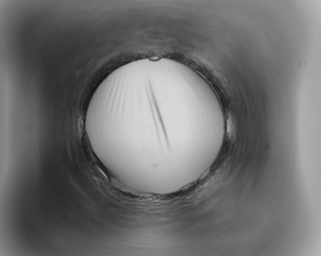 X0000091581492200709171106