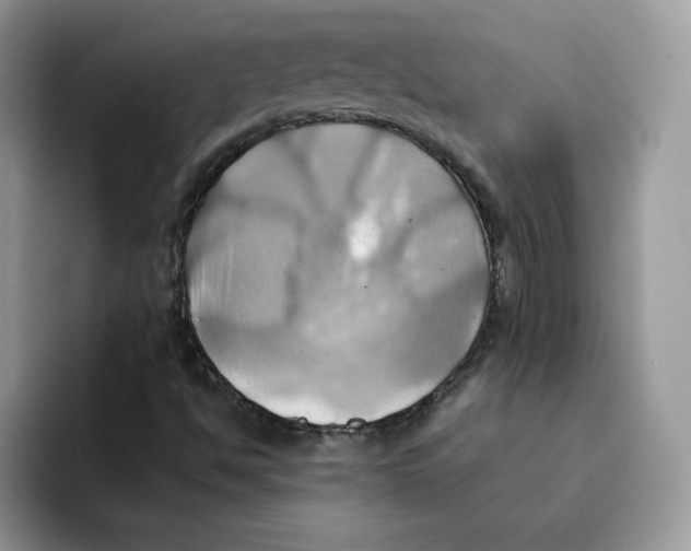 X0000091581494200709171106