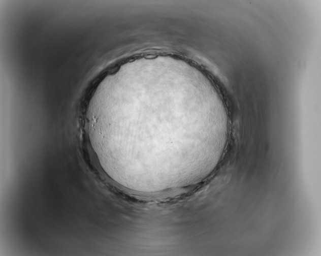 X0000091581496200709171106