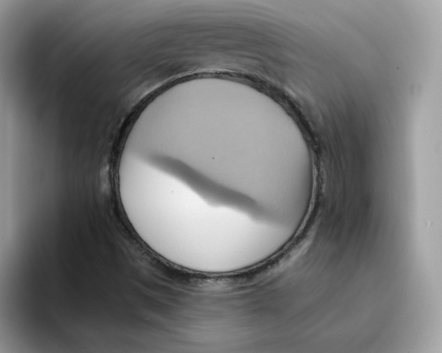 X0000091581497200709171106