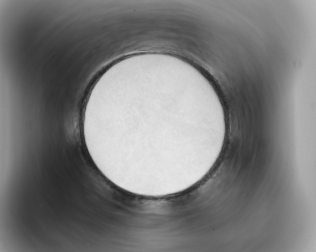 X0000091581498200709171106