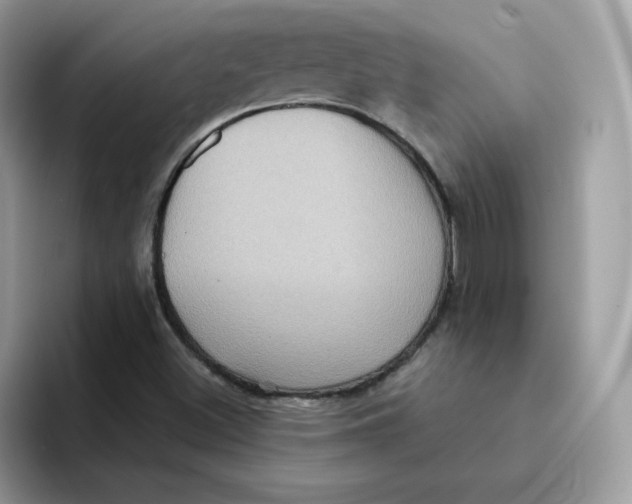 X0000091581500200709171106