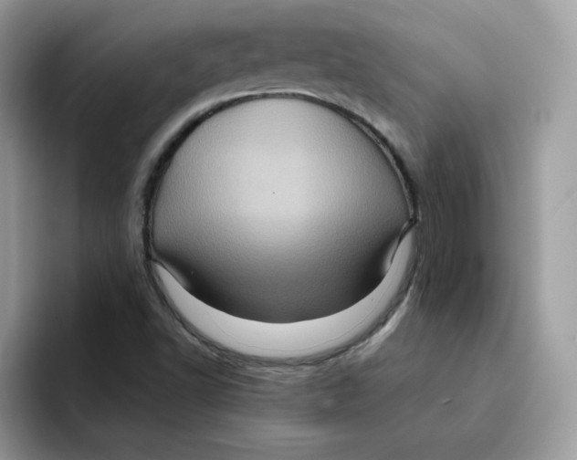 X0000091581502200709171106