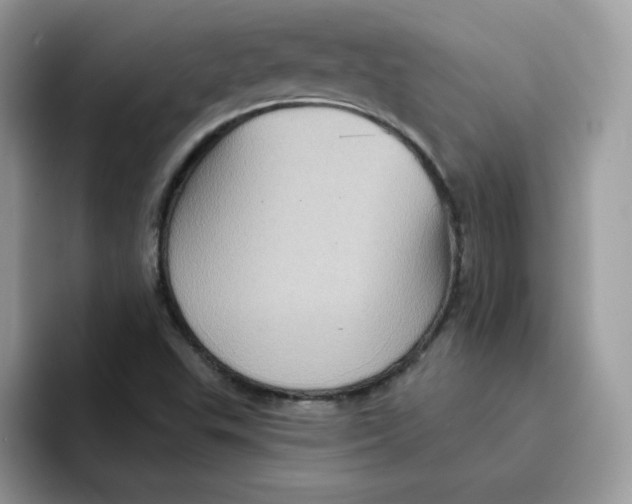 X0000091581503200709171106