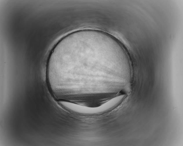 X0000091581504200709171106