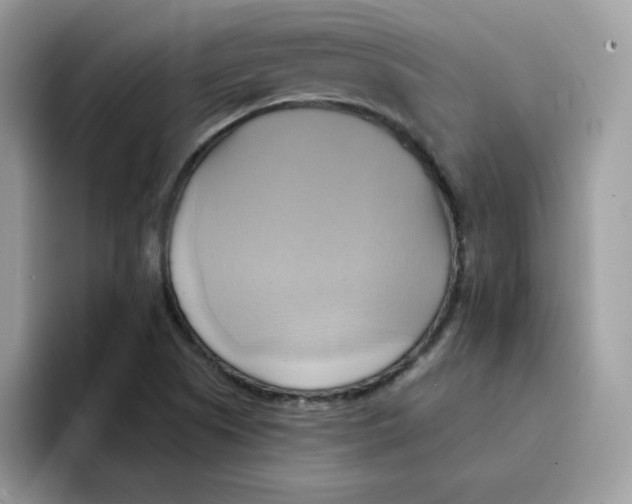 X0000091581505200709171106