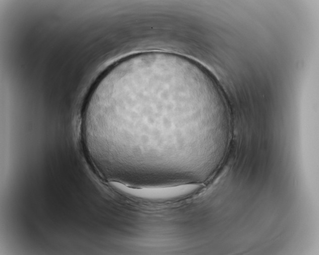 X0000091581507200709171106