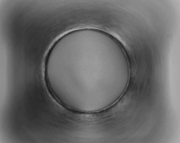 X0000091581508200709171106