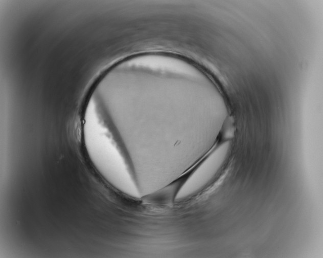 X0000091581509200709171106