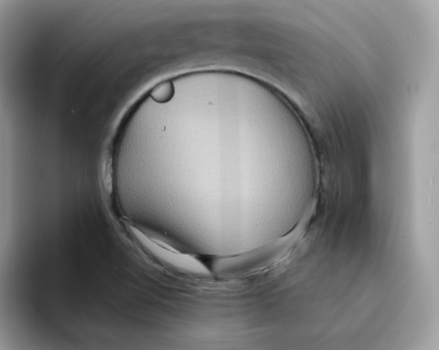 X0000091581510200709171106