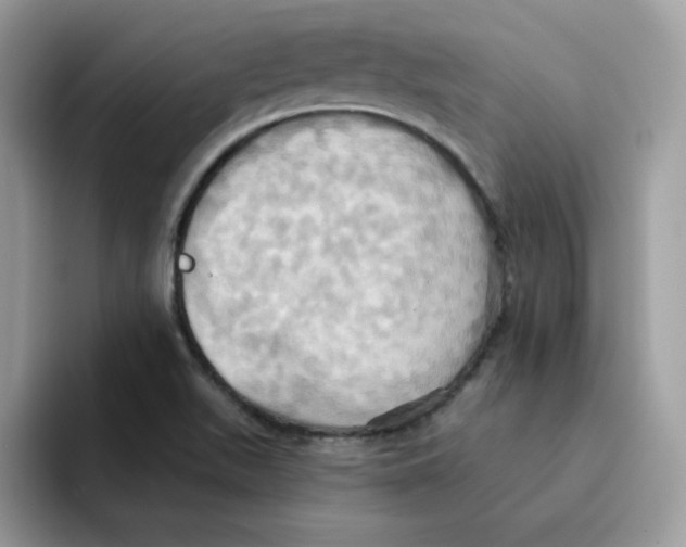 X0000091581511200709171106