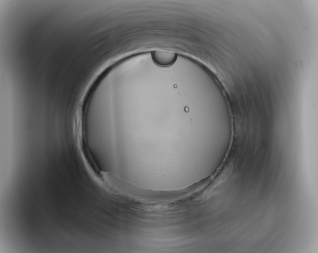 X0000091581515200709171106