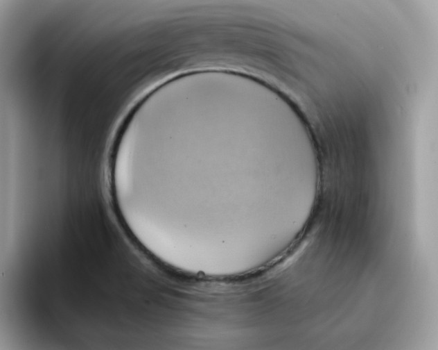 X0000091581517200709171106