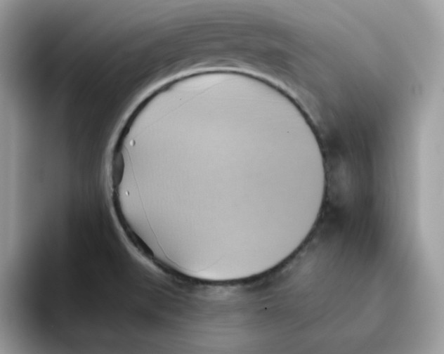 X0000091581519200709171106