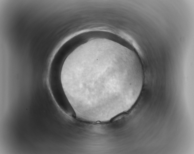 X0000091581520200709171106