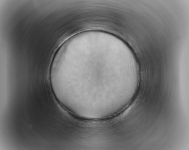 X0000091581521200709171106