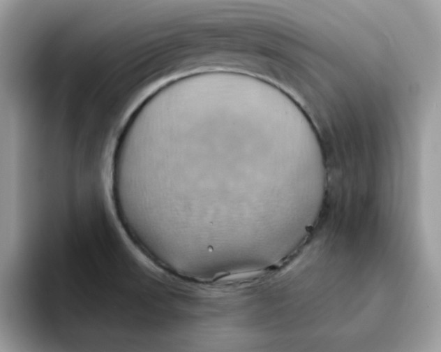 X0000091581523200709171106