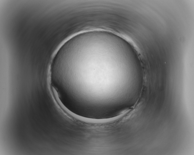 X0000091581524200709171106