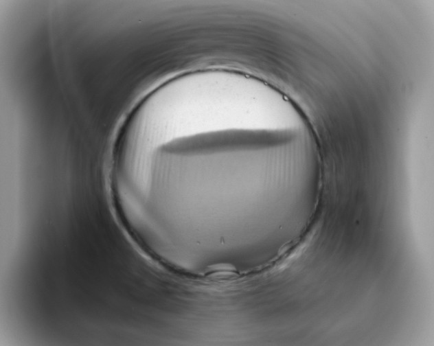 X0000091581525200709171106