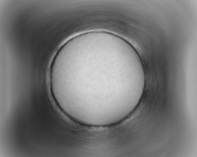 X0000091581526200709171106