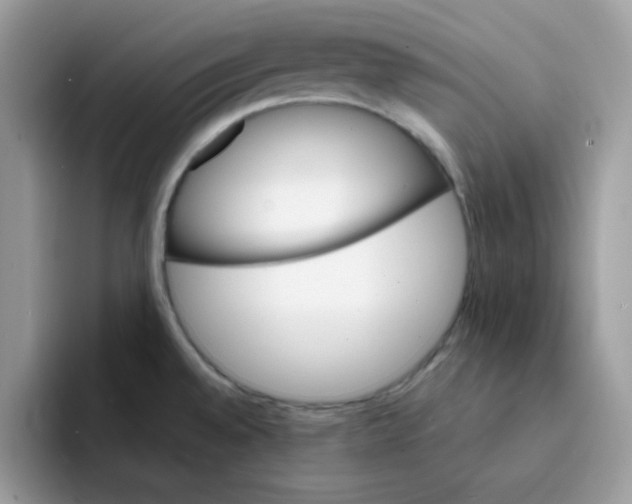 X0000091581528200709171106