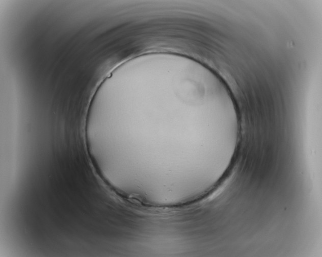 X0000091581529200709171106