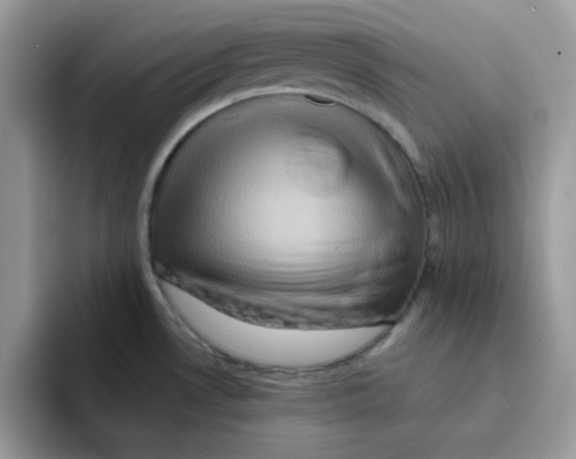 X0000091581530200709171106