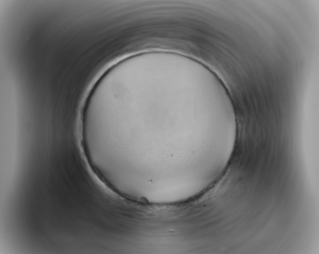 X0000091581531200709171106