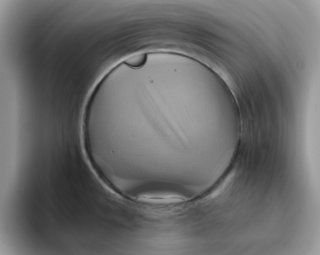 X0000091581533200709171106