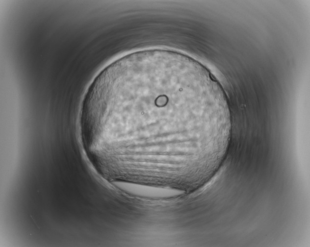 X0000091581534200709171107