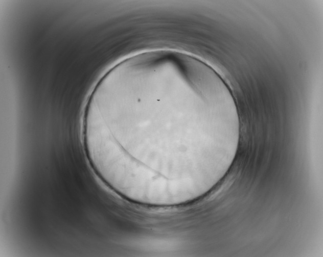 X0000091581535200709171107