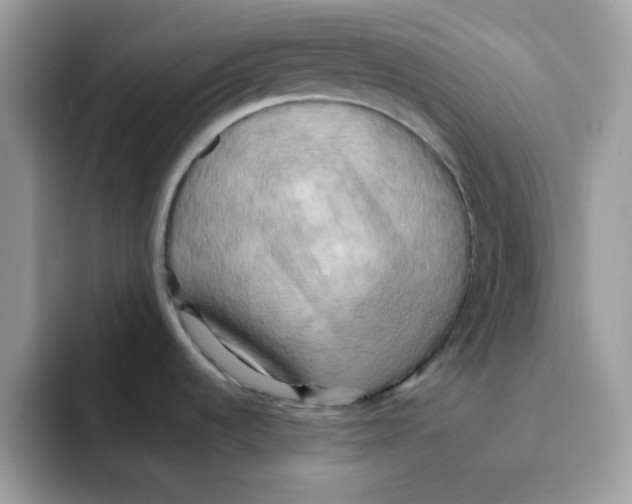 X0000091581536200709171107